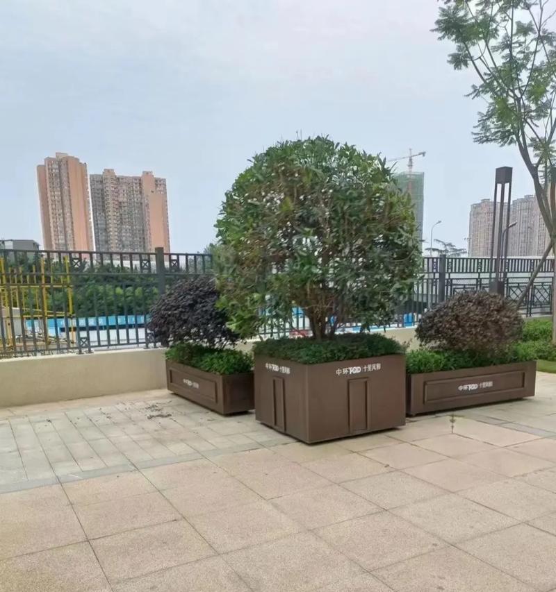 一米阳台花箱适合种植哪些植物？