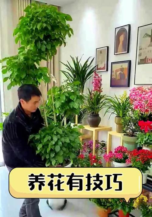 养花有哪些简单有效的方法和技巧？