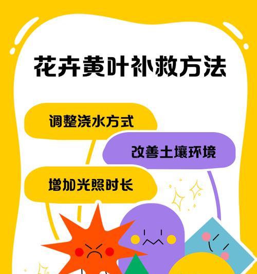 植物叶子发黄缺乏营养怎么办？