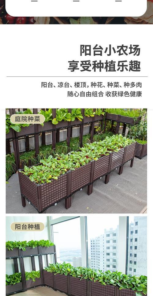 藕肠无土栽培的关键技术要点是什么？