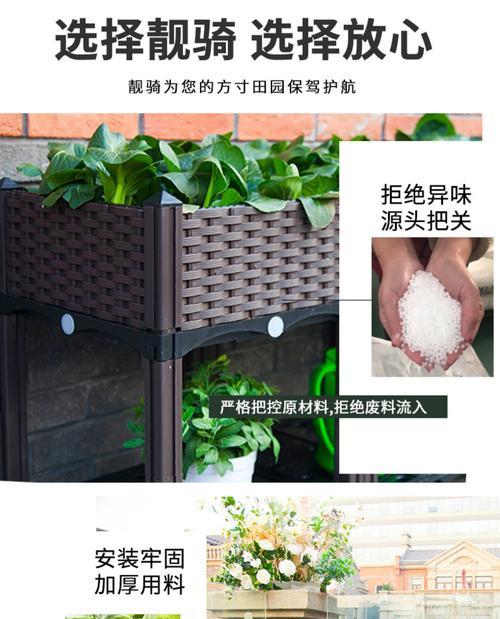 炮椒栽培技术要点是什么？