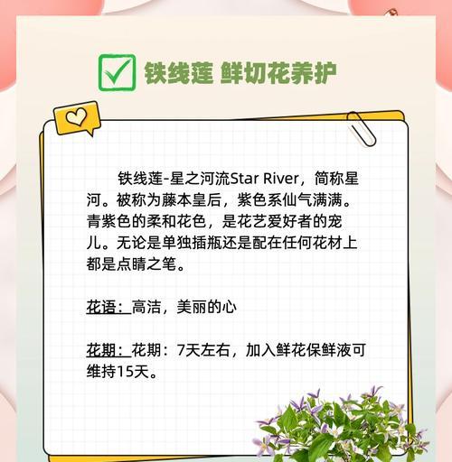 铁线莲换盆秋天如何养护？管理方法是什么？