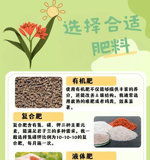 如何使用肥料正确养护君子兰？