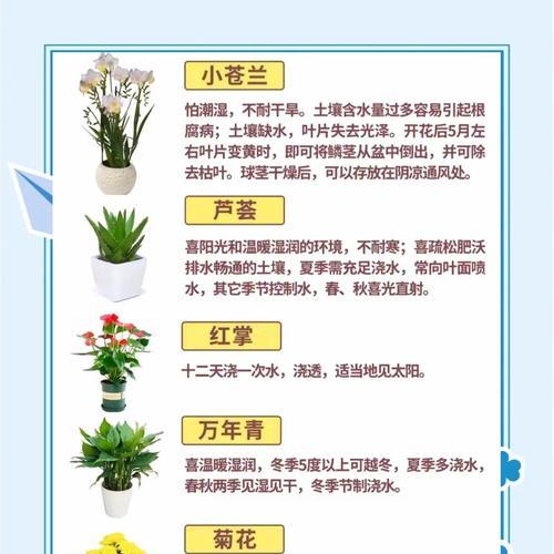 如何使用肥料正确养护君子兰？
