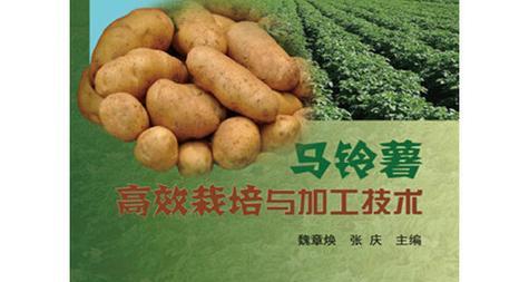 洋芋栽培新技术有哪些要点？