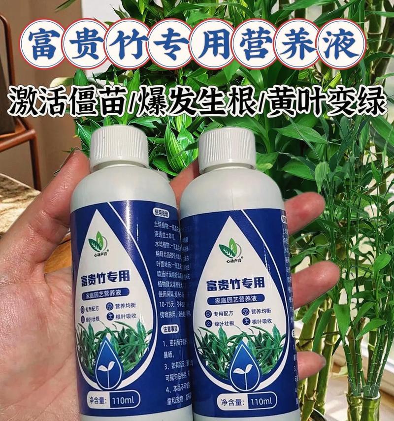 自制富贵竹肥料的方法是什么？需要哪些材料？