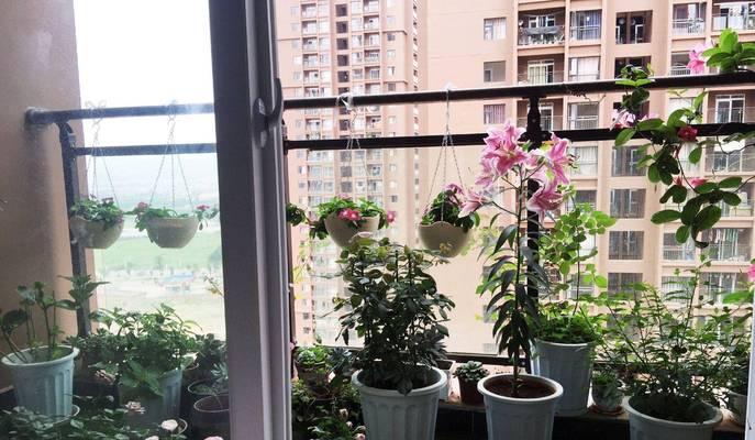 阳台空着放什么花好呢？推荐适合阳台种植的花卉？