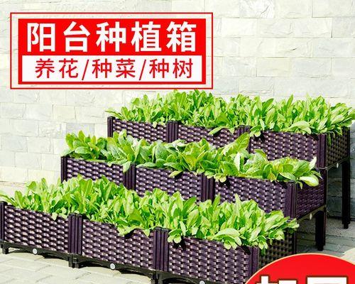 奶参的栽培技术包括哪些要点？