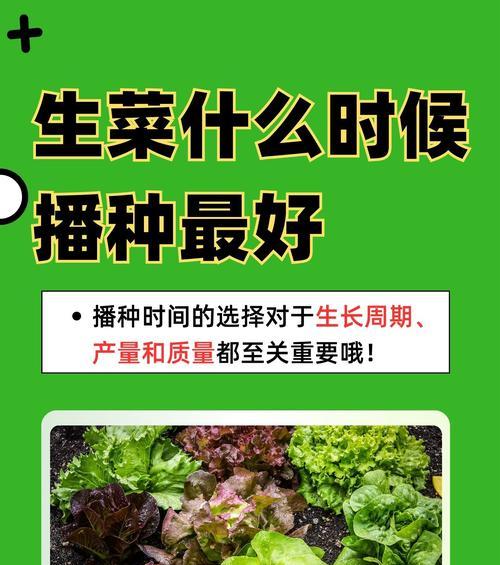 室内莲花播种的最佳时间是什么时候？播种步骤详解？