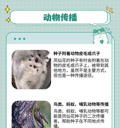 哪些植物靠水流传播种子？传播机制是什么？