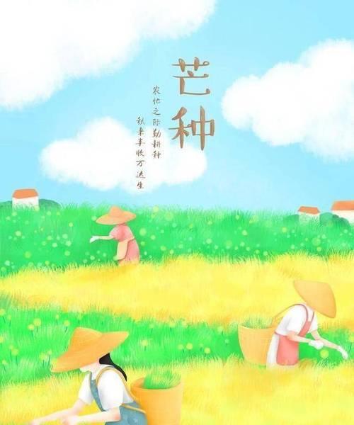芒种以后播种什么蔬菜？如何选择合适的蔬菜？