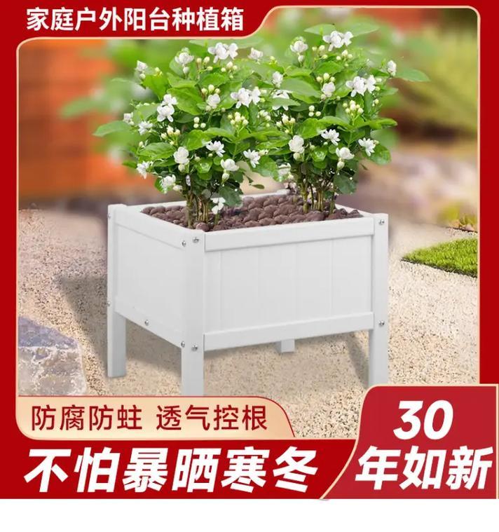 大风车树叶子发黄的解决方法是什么？如何预防叶子发黄？