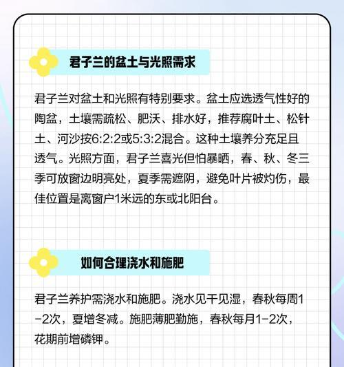 君子兰要怎么养才可以养好？有哪些关键的养护技巧？