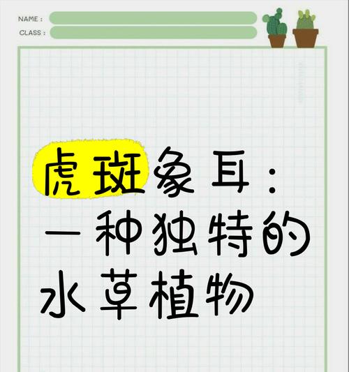 象山水生植物有哪些种类？如何选择？