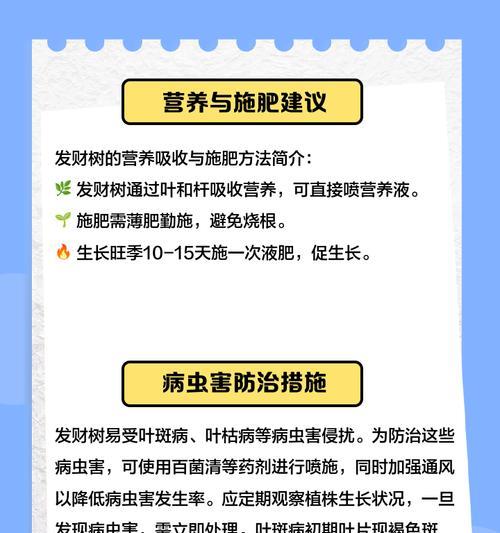 大树叶子发黄的常见处理方法？
