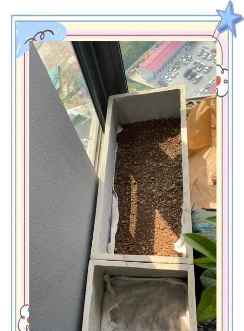 棒菜施肥管理的正确方法是什么？