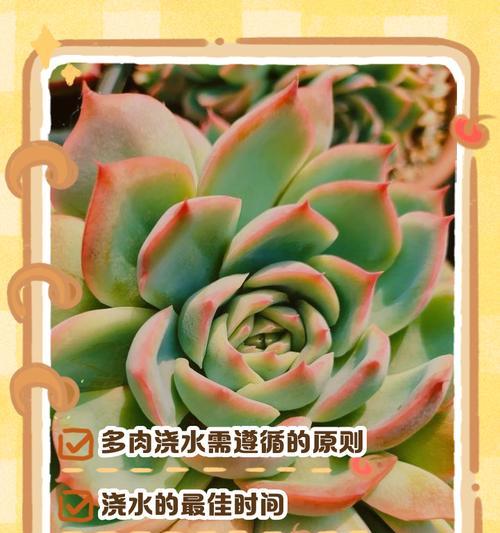 地栽自动浇水的方法是什么？如何实现高效节水？