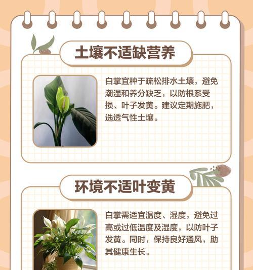 植物叶子发黄怎么办？盖膜后叶子发黄的原因及解决方法？