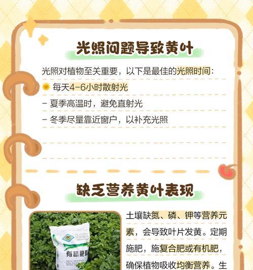 植物叶子发黄怎么办？盖膜后叶子发黄的原因及解决方法？