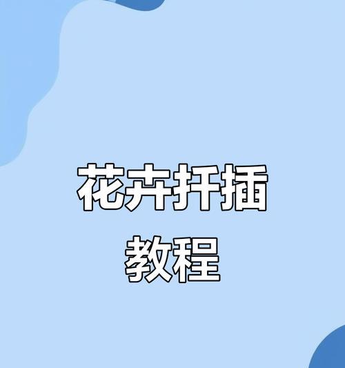 月季枝条快速生根的方法有哪些？