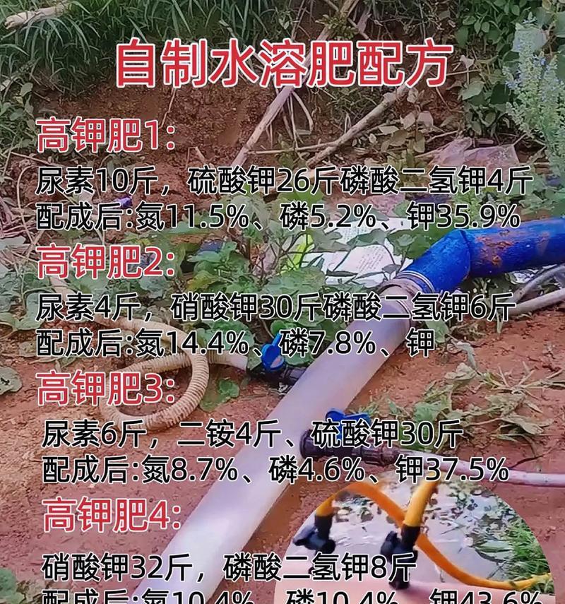 自制地仙草肥料的方法是什么？