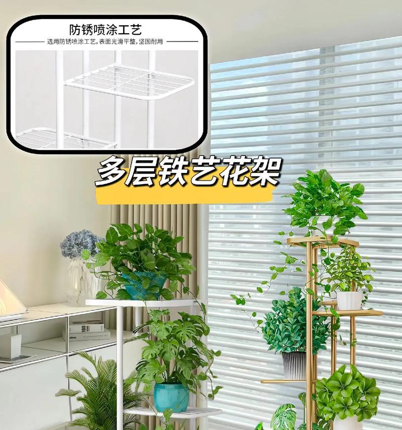 阳台摆放花架的正确名称是什么？