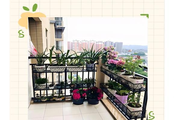 阳台摆放花架的正确名称是什么？