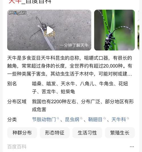 自制空心颗粒肥料的方法是什么？