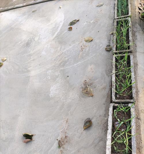 自制空心颗粒肥料的方法是什么？