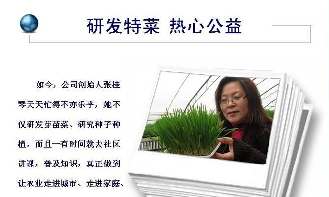 无渣芽菜栽培的关键技术要点是什么？