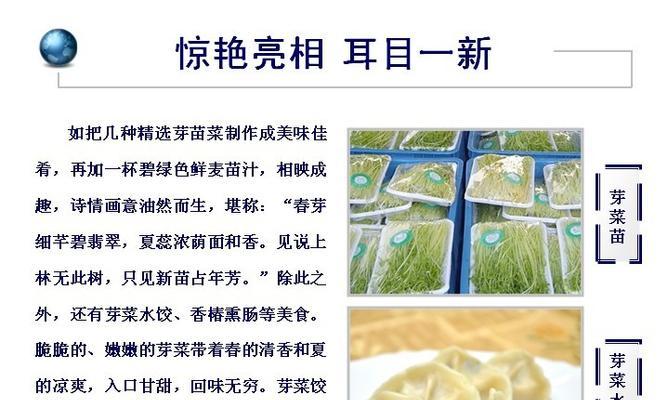 无渣芽菜栽培的关键技术要点是什么？