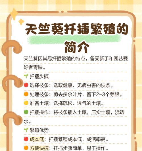天竺葵苗如何快速生长？有哪些促进生长的技巧？