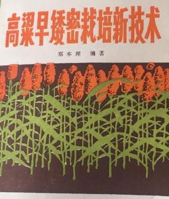 高粱节水栽培的技术要点是什么？如何实现高粱的节水栽培？