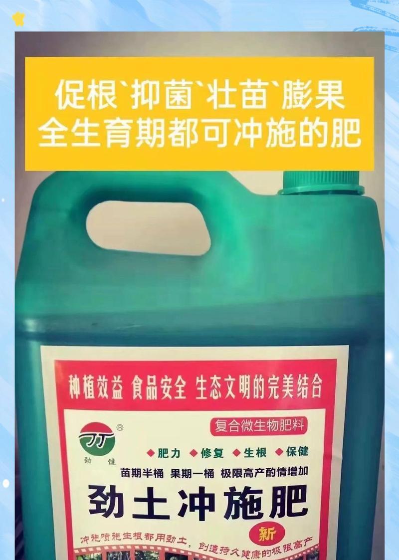 黄瓜栽培中常见的技术问题有哪些？如何解决？