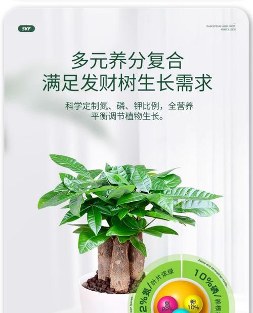 自制高氮钾水肥料需要注意什么？
