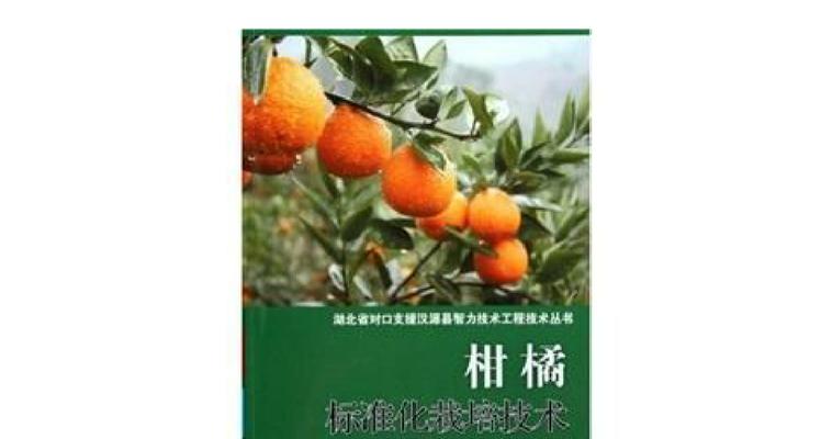 绿色作物栽培技术要点是什么？如何掌握正确的栽培技术？