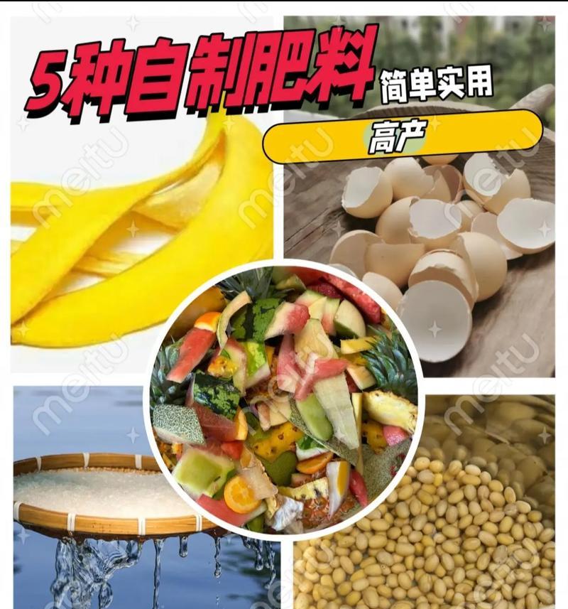 在家自制浆水肥料的方法有哪些？