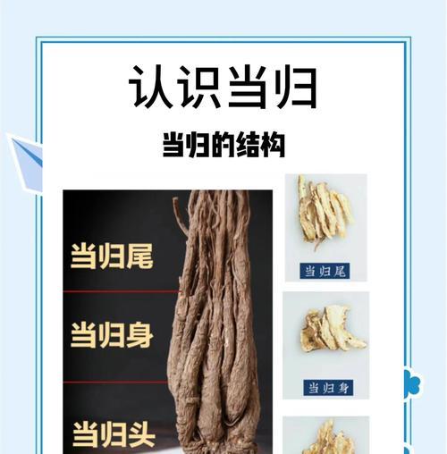 当归播种的适宜时间是什么时候？