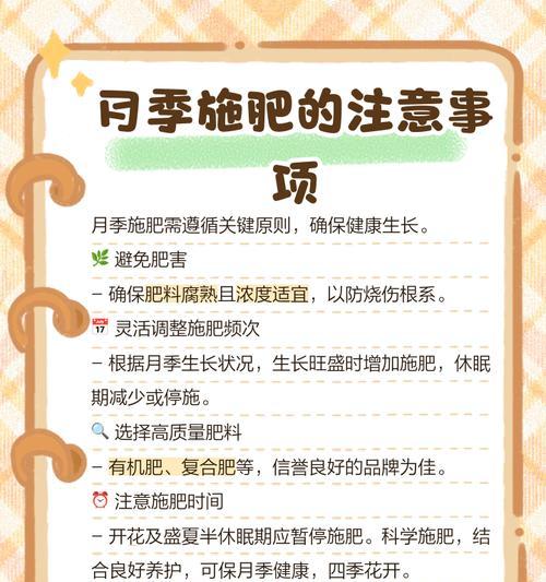 月季肥害后的正确施肥方法是什么？