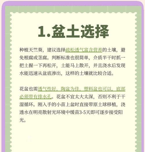 天竺葵养护小贴士有哪些？