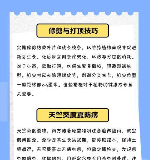 天竺葵养护小贴士有哪些？