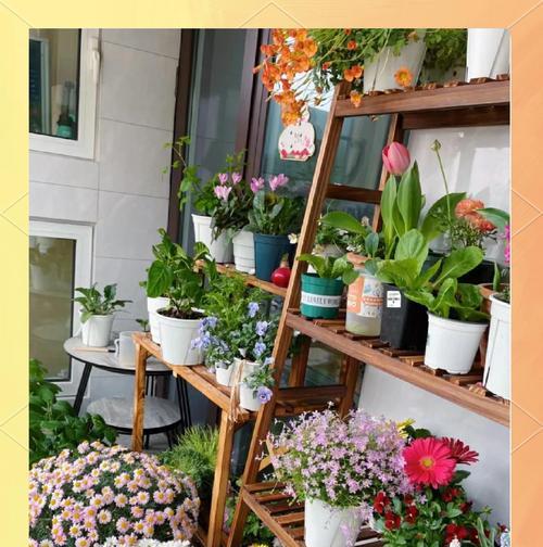 北方室内盆景绿植养护要点是什么？