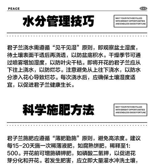 君子兰自制肥料的方法是什么？如何自制？
