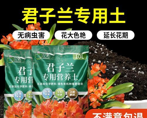 君子兰自制肥料的方法是什么？如何自制？