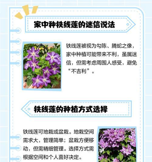雪崩铁线莲叶子不长大怎么办？