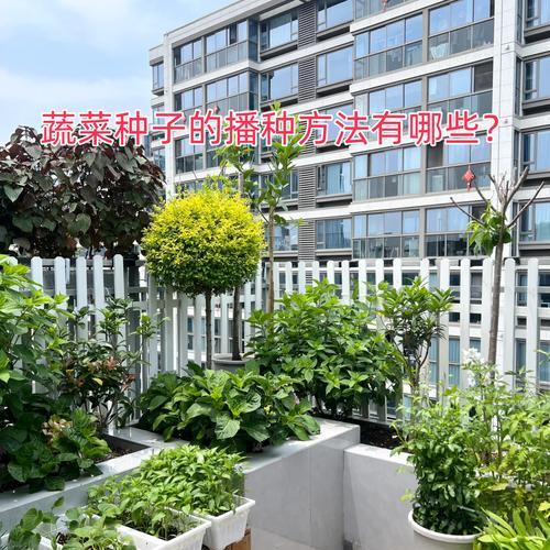 生物选种播种时应选用什么种子？选种播种的正确方法是什么？