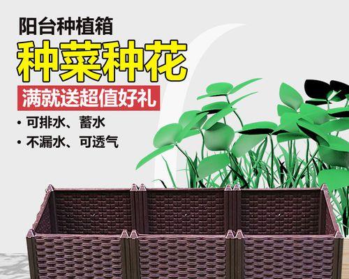 苹果柚叶子发黄的原因及解决方法是什么？