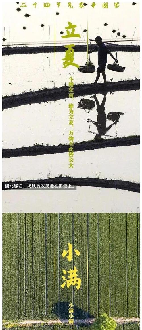 麦田浇水的最佳方法和注意事项有哪些？