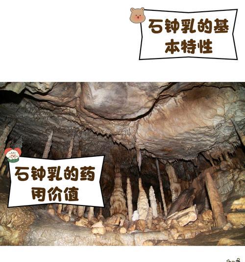 钟乳石盆景制作方法是什么？制作过程中需要注意什么？