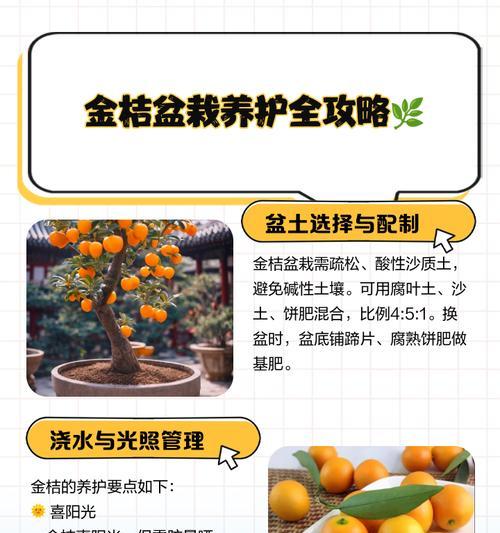 金桔日常管理浇水方法是什么？金桔的浇水技巧有哪些？